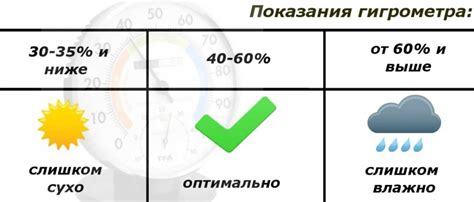 Оптимальная температура и влажность для дынь в парнике