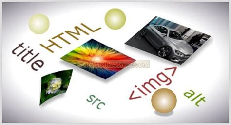 Оптимальное использование атрибутов тега <a> для SEO