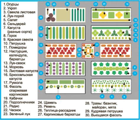 Оптимальное расположение грядок