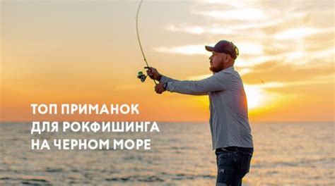Оптимальные сезоны для рыбалки в Черном море