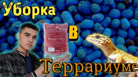 Оптимальные условия для образования гнусной пыли в террариуме