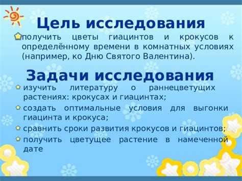 Оптимальные условия для хранения гиацинтов