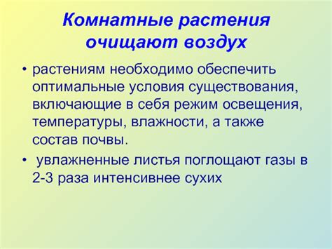 Оптимальные условия освещения и температуры