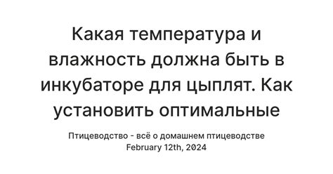 Оптимальные условия содержания муравьев в инкубаторе