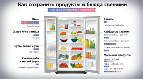 Оптимальные условия хранения различных продуктов в холодильнике Samsung RL28FBSW