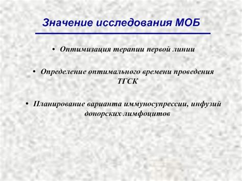 Оптимизация времени проведения бивня