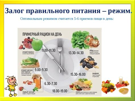 Оптимизируйте питание и прием пищи