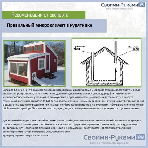 Организация интеллектуальной системы в курятнике