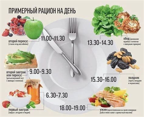 Организация рациона питания