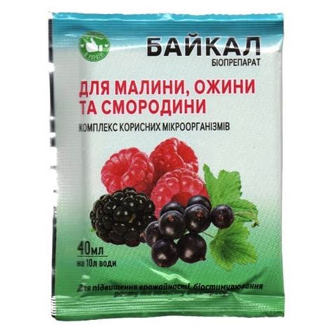 Органические удобрения для ежевики