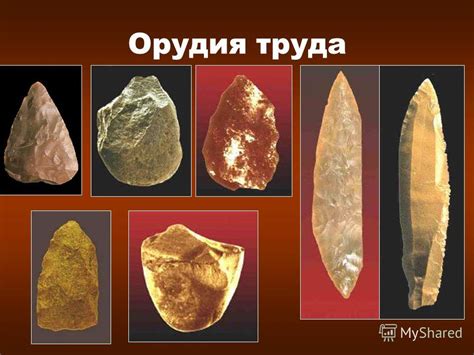 Орудия труда и культовые предметы