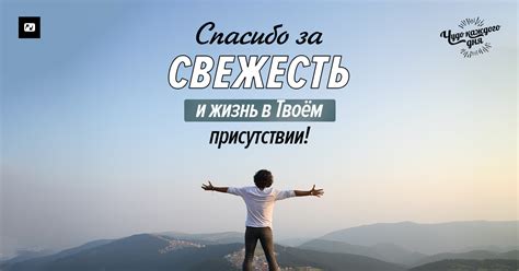Освежение в жару
