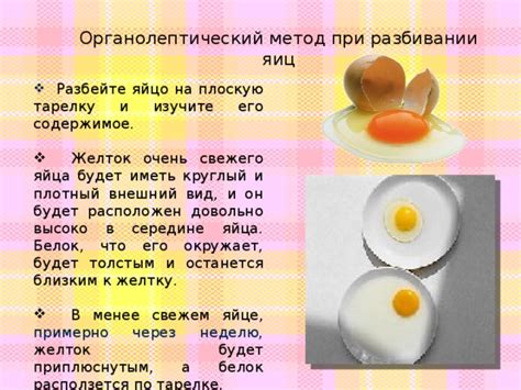 Осматриваем внешний вид яйца