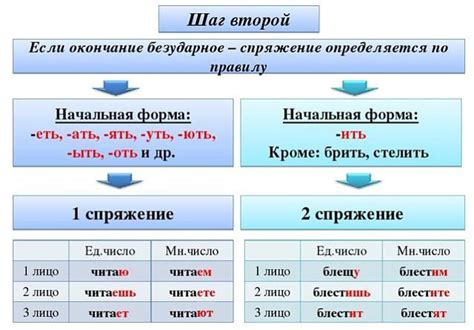Основная информация о глаголах третьего лица