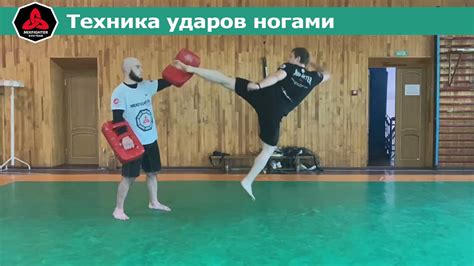 Основная техника нокаутовых ударов