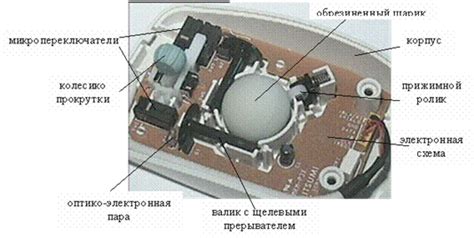 Основной принцип работы мышки в ноутбуке