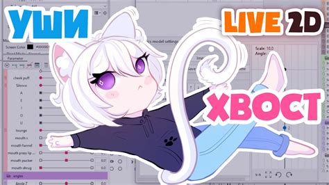 Основные команды и функции Live2D