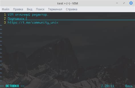 Основные команды редактора vi