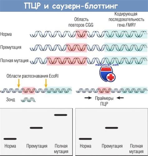 Основные методы изменения ДНК
