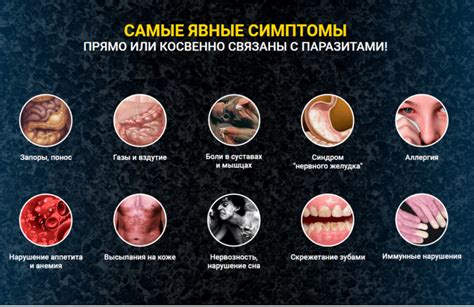 Основные методы определения и признаки видов глистов у человека
