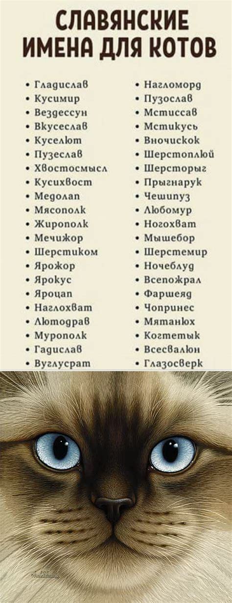 Основные моменты для учета в выборе котенка