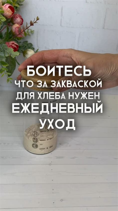 Основные моменты ухода за закваской
