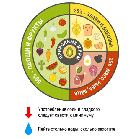 Основные правила питания
