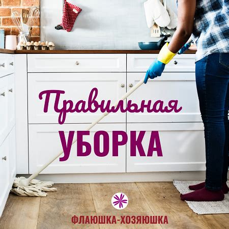Основные правила уборки цветов в доме