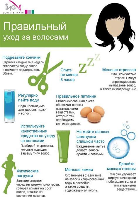 Основные правила ухода за норкой