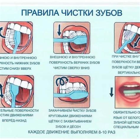 Основные правила чистки