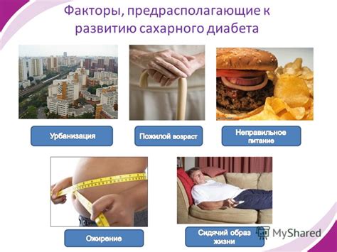 Основные преимущества использования пиявок в лечении сахарного диабета