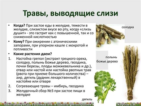 Основные признаки наличия токсинов и слизи в организме