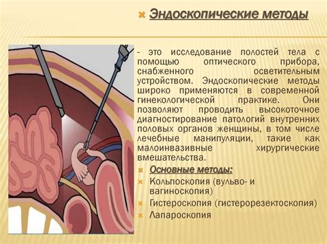 Основные принципы проведения ХГЧ для взрослых