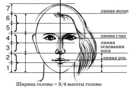 Основные принципы пропорций глаз