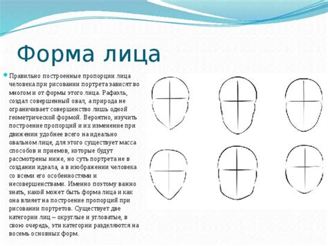 Основные принципы пропорций при рисовании портрета собаки