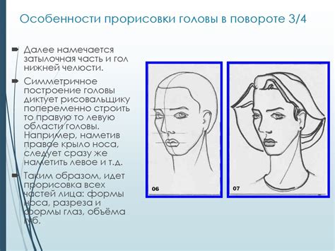 Основные принципы прорисовки контура головы зайчика