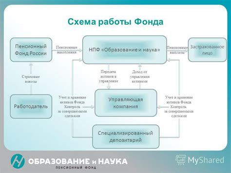 Основные принципы работы нутрициолога