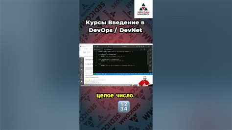 Основные принципы работы с функциями в Python