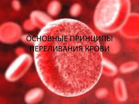 Основные принципы сдачи крови