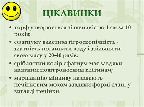 Основные принципы ухода за мохом сфагнум