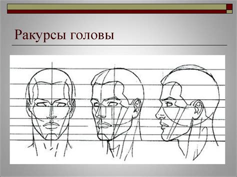 Основные пропорции и структура