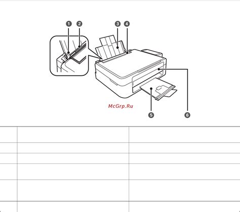 Основные сведения о принтере Epson
