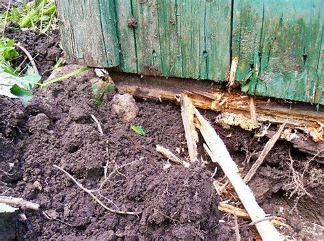Основные советы по обновлению старого домика на даче