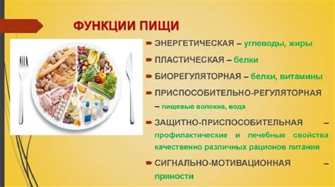 Основные составляющие питания голубей: белки, углеводы и жиры