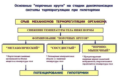 Основные фазы терморегуляции