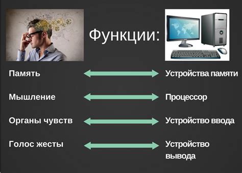 Основные функции приложения и их популярность