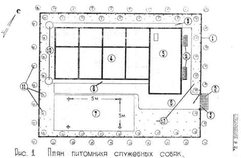 Основные шаги для открытия питомника собак с РКФ