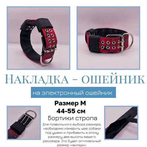 Основные шаги по активации эшо ошейника