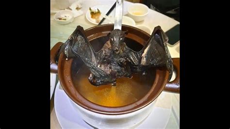Основные шаги приготовления летучей мыши