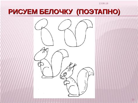 Основные шаги рисования белки